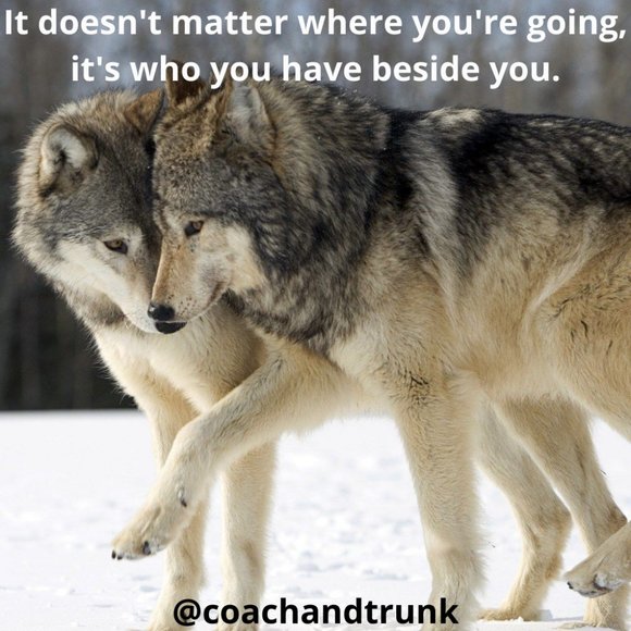 🎵🎶🎈200k!! Thank You So, So, Much❣️❣️🎈🎵🎶💕💕💕You Are All The Best💕💕💕 - Picture 6 of 10